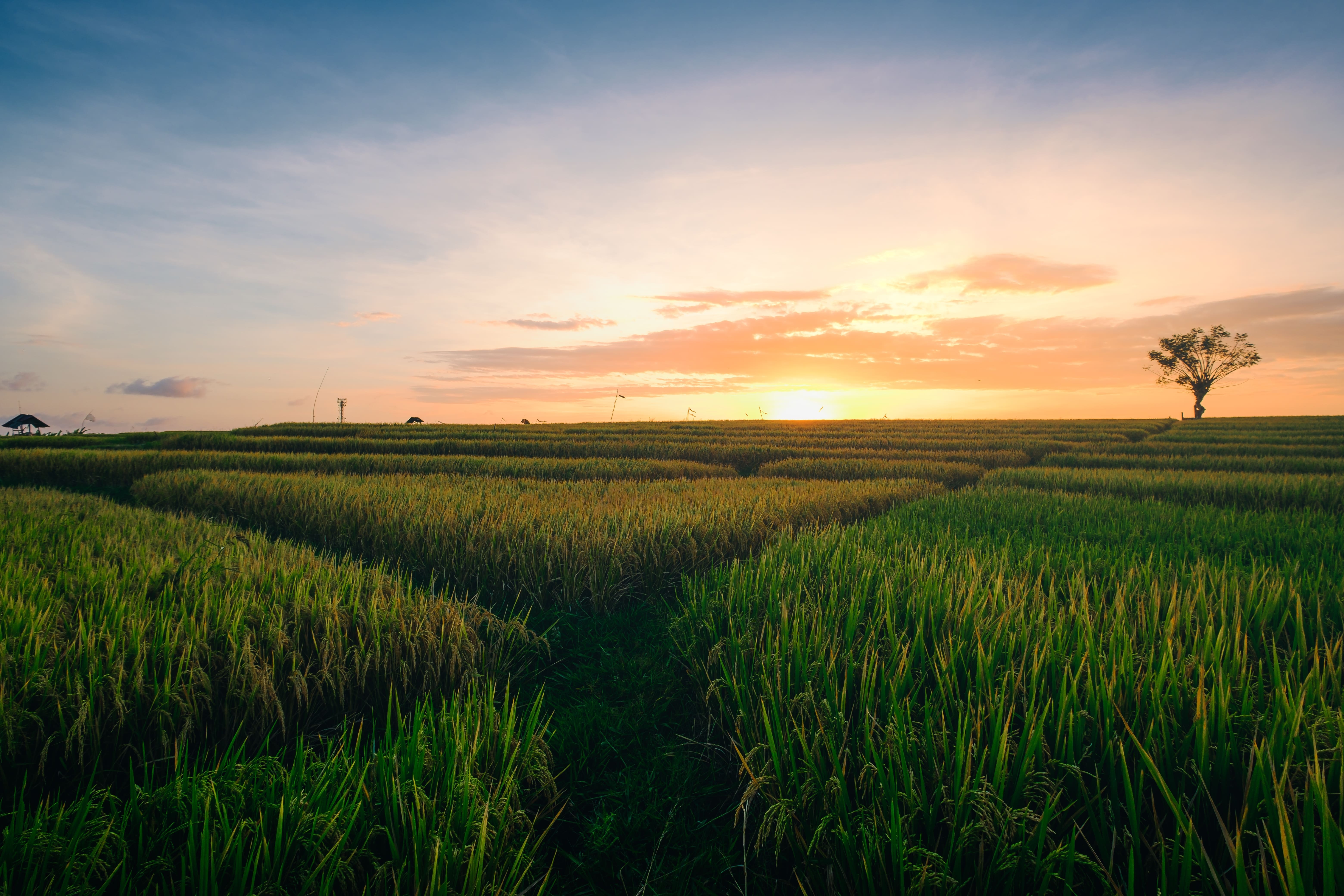 Why Choose AgriCheck